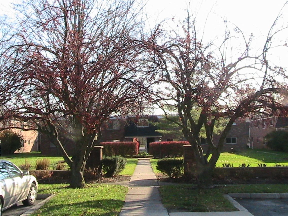 Gallery Photo 11